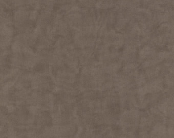 [200111120_4] Taralay Initial Compact - 0049 Diversion Carbone